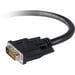 Belkin F2E4141BT3M-DD câble DVI 3 m Noir