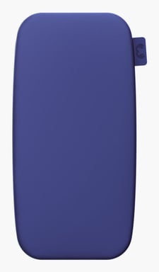 Fresh 'n Rebel 2pb24100tb banque d'alimentation électrique 24000 mAh Bleu