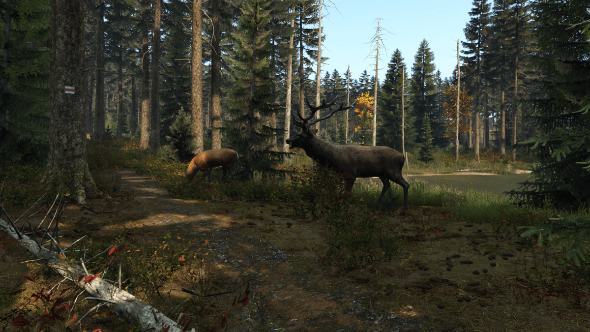 Dayz Ps4 - vue 4