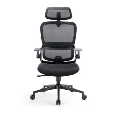 B100 SE Sedia ergonomica-Supporto lombare, Braccioli ribaltabili, Nero