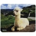 Hama Animal Multicolore