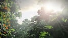 The Last of Us Remastered PlayStation Hits PS4 Gioco Gratis Download