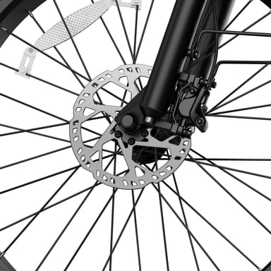 Bicicletta elettrica FAFREES F26 ROVER con batteria da 48 V 20 Ah e motore da 250 W - grigia
