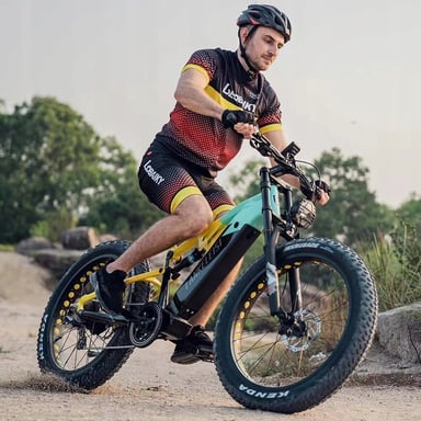 Bicicleta de Montaña Eléctrica Lankeleisi RV800 Plus con Batería de 750W, 48V y 20Ah