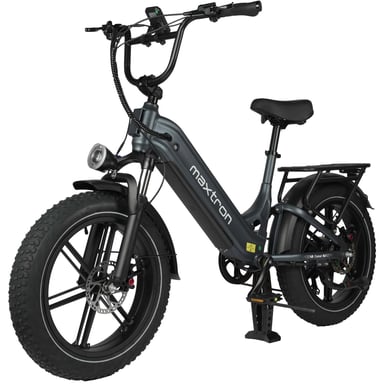 Vélo Électrique MAXTURN Camel - Moteur 250W Batterie 48V18AH 20'' Frein à Disque Hydraulique - Gris