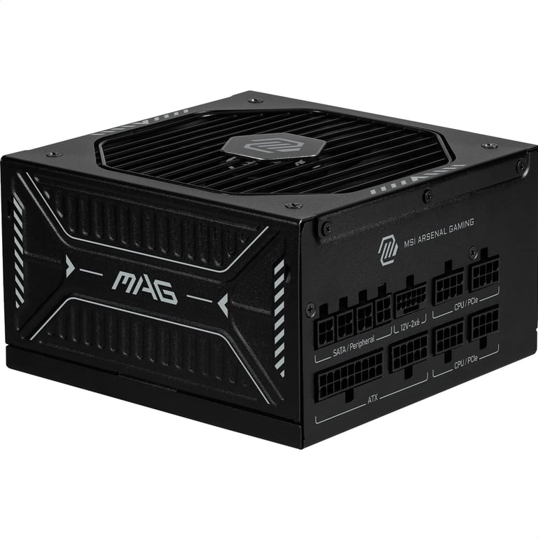 MSI MAG A1000GLS PCIE5 - vue 10