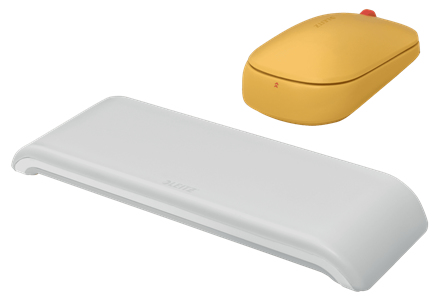 Leitz Cosy ratón Oficina Ambidextro RF Wireless + Bluetooth 4000 DPI