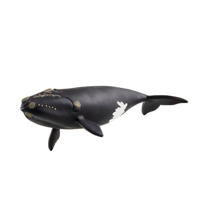Figurine Baleine de 'Atlantique 14878 Wild Life des Neuf