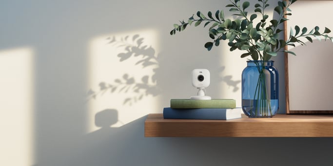 Mini 2 - 1 telecamera - BLINK HOME SECURITY - Nero - UE