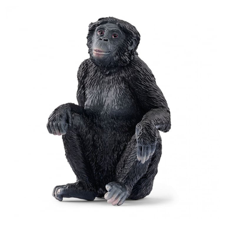 Bonobo Femelle Schleich 14875 Jouet Éducatif de la Faune Sauvage Neuf