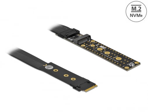DeLOCK Tarjeta de adaptación M.2 clave M Extensión NVMe con cable de 20 cm