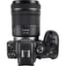 Canon EOS R6 + RF 24-105mm F4-7.1 IS STM MILC 20,1 MP CMOS 5472 x 3648 Pixeles Negro