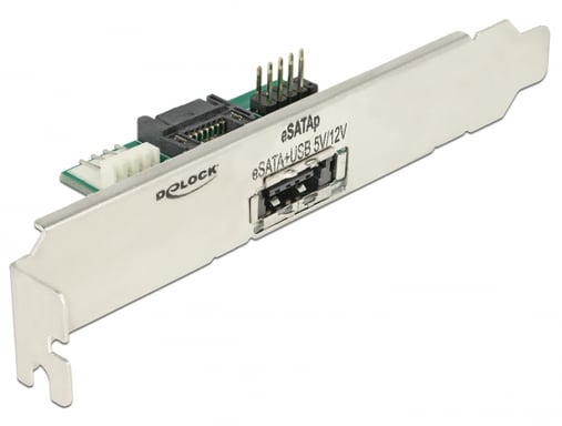 Scheda di interfaccia e adattatore eSATA interno DeLOCK 63921