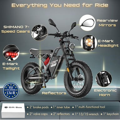 Vélo électrique FAFREES F20 Ultra (Homologation UE L1e-B) - Moteur 750 W batterie 48V25Ah pneu large 20 pouces Freins hydrauliques - Gris