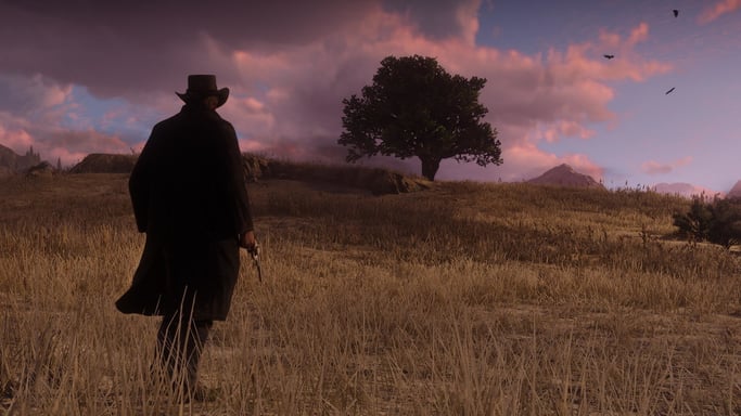 PS4 PRO + Red Dead Redemption II