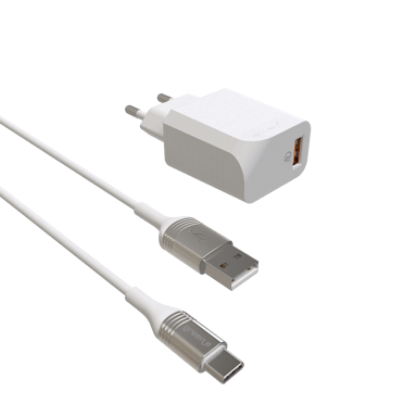 GREEN E - Kit de Charge Ecoconçu (Chargeur USB-C vers USB + Adaptateur Prise) Fast Charge