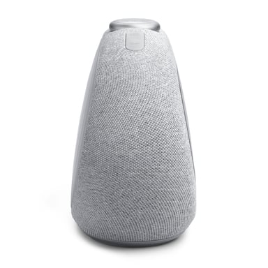 JBL HORIZON-3 Reloj Gris