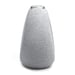 JBL HORIZON-3 Reloj Gris