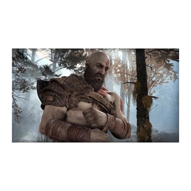 GOD OF WAR PS4 PlayStation Hits Jeu PS4