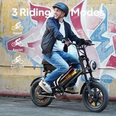 Bicicleta Eléctrica | URLIFE | T16 | 500W 48V13Ah 16'' Frenos de Disco eBike - Negro