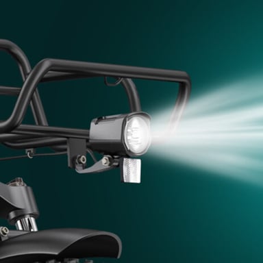 ENGWE L20 Boost Bici elettrica per Adulti, Bici elettrica per Pneumatici Fat da 20 Pollici per Donna, Batteria 48V 13A, Shimano 7 velocità