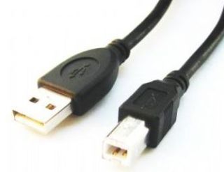 Gembird CCP-USB2-AMBM-10 cable USB 3,04 m USB A USB B Negro