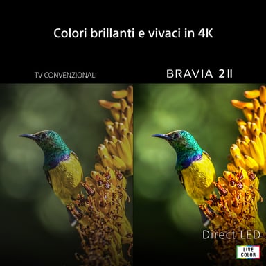 Sony K-65S25M2 TV 165,1 cm (65'') 4K Ultra HD Smart TV Wifi Negro