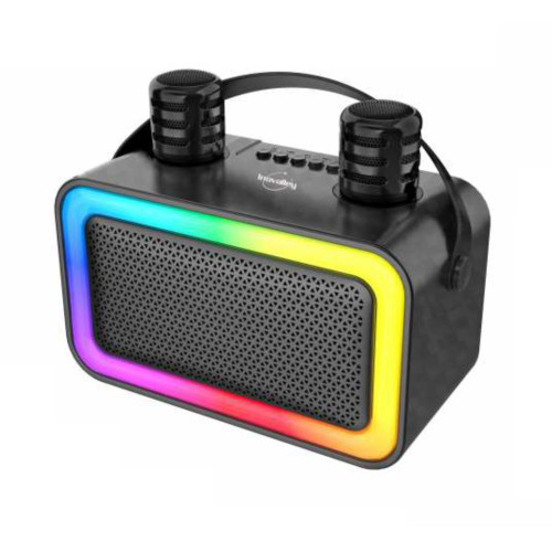Enceinte Bluetooth KARAOKE 2 micros 100W - Neuf