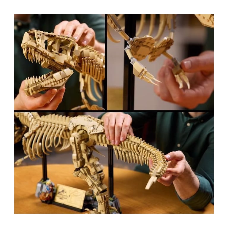 LEGO Jurassic World 76968 Les Fossiles de Dinosaures : le Tyrannosaurus Rex - Pour Adulte - Neuf