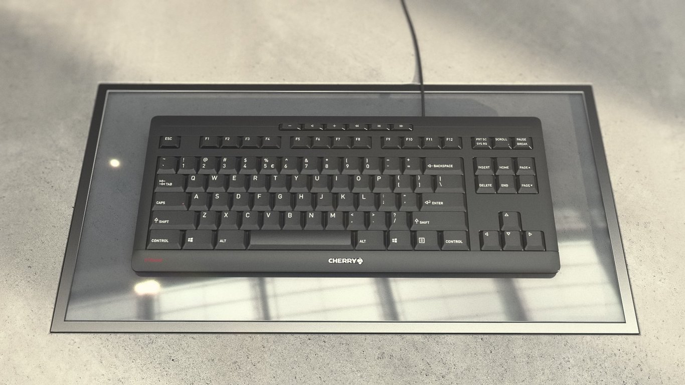 CHERRY STREAM KEYBOARD TKL clavier Universel USB QWERTZ Suisse Neuf - vue 9
