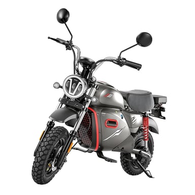 VéLo Électrique Y18 | Moteur 2000W | Batterie 48V 20Ah | Pneus 15 Pouces | Vitesse Max 55 km/h | Autonomie 80-90 km | Gris