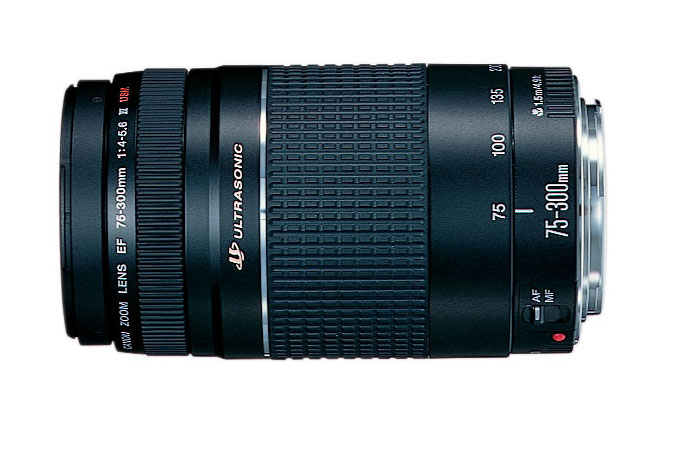Canon EOS 2000D + EF-S 18-55mm f/3.5-5.6 IS II + EF 75-300mm f/4-5.6 III Kit d'appareil-photo SLR 24,1 MP CMOS 6000 x 4000 pixels Noir