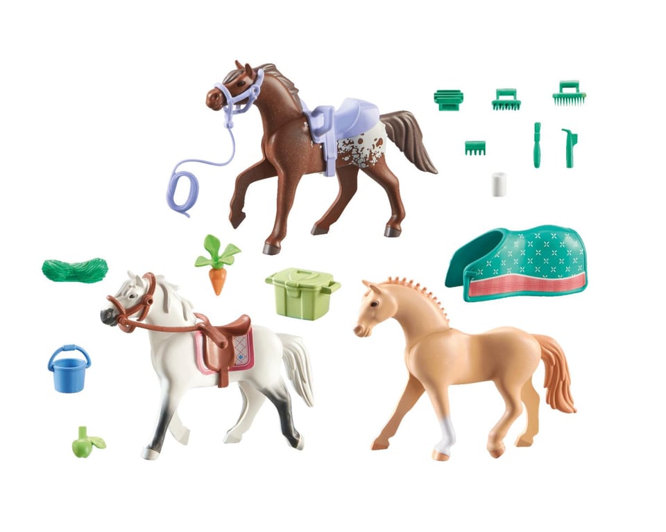 Playmobil 71356 jouet - Neuf
