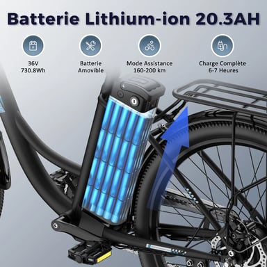 FAFREES F26 Lasting Bicicleta Eléctrica - Motor 250W Batería 36V25Ah 26x1.95 Pulgadas Ruedas Frenos Disco Mecánicos - Negra