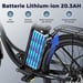 FAFREES F26 Lasting Bicicleta Eléctrica - Motor 250W Batería 36V25Ah 26x1.95 Pulgadas Ruedas Frenos Disco Mecánicos - Negra