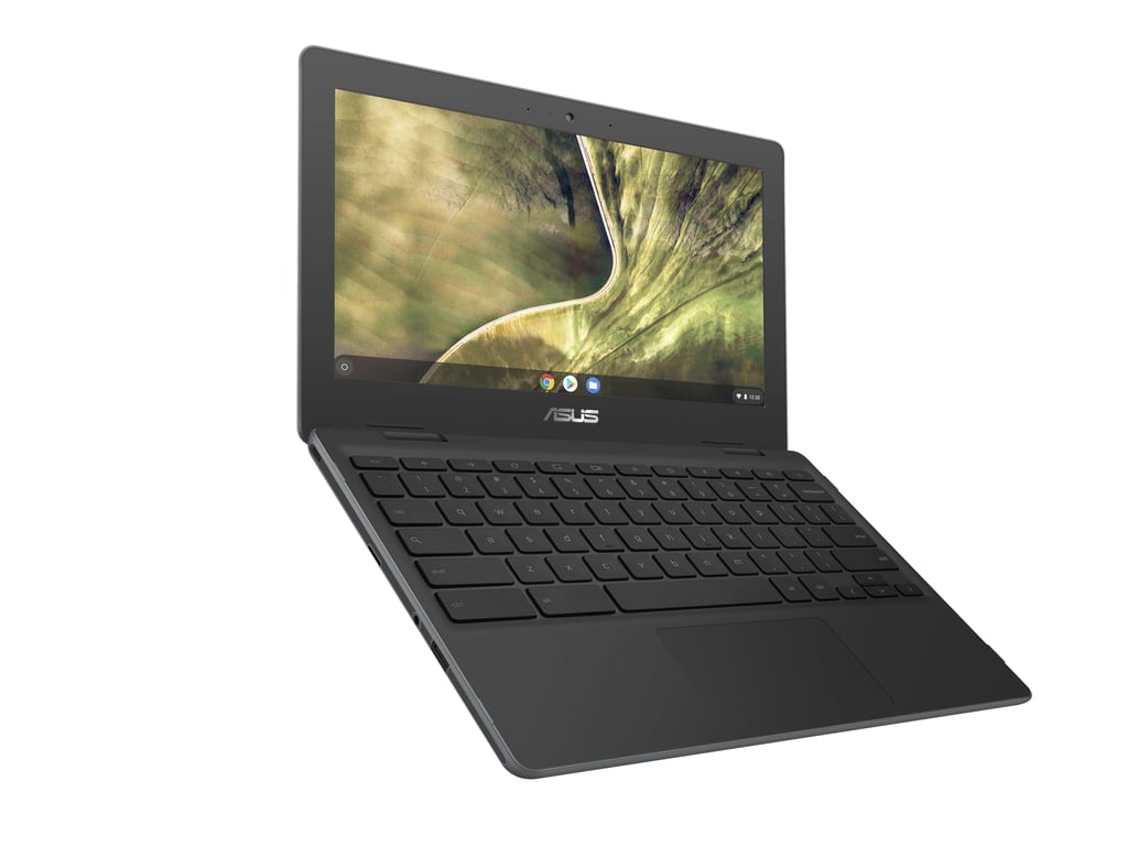 ASUS Chromebook C204MA-GJ0438 N4020 29,5 cm (11,6