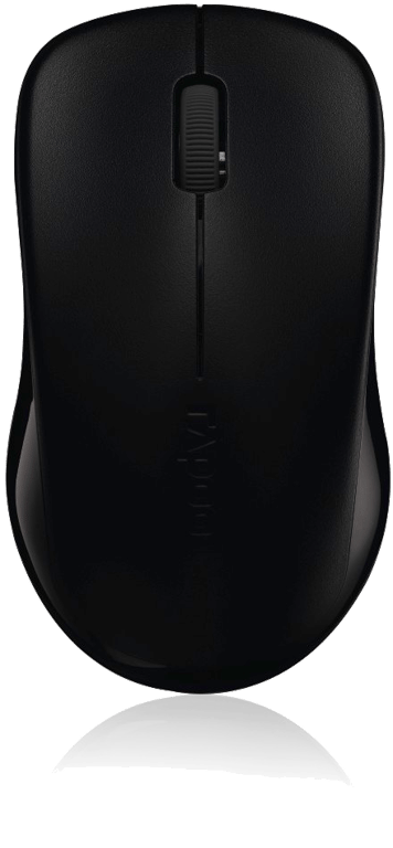 Souris optique sans fil 1620 2.4 GHz, Noir
