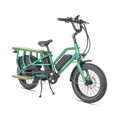 Bici da carico elettrica JOBOBIKE Transer 48V13AH Doppia Batteria