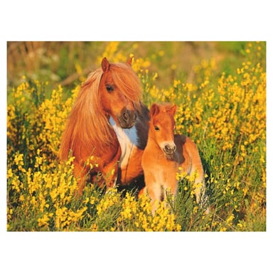Puzzle 100 piezas XXL - Ponis Shetland para niños