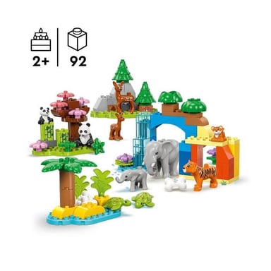 Scoprite il nostro eccezionale prodotto con GTIN 5702017815558