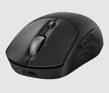 HP Souris sans fil rechargeable 700