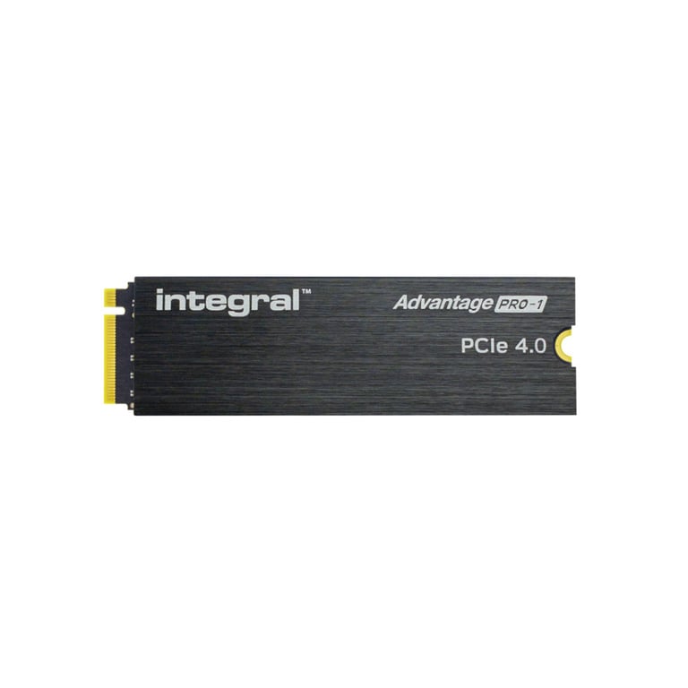 Integral INSSD2TM2280G4AP1XHS disque SSD .2 PCI Express 4.0 NVMe Neuf