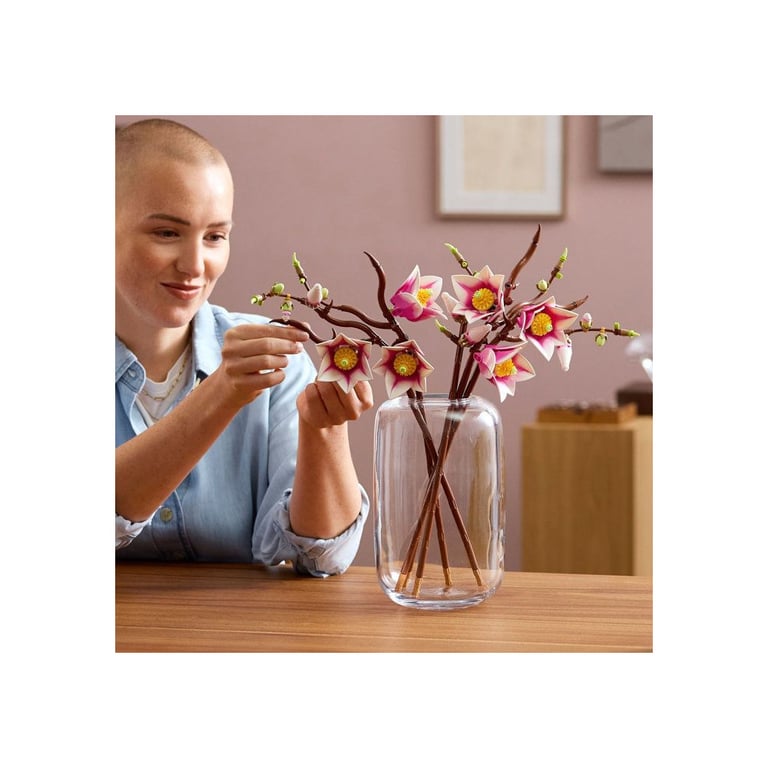 Branches de magnolia - vue 7