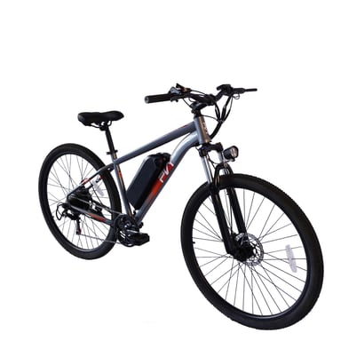 PVY M29 Vélo Électrique - Moteur 250W Batterie 48V17.5AH Pneus 29'' Freins à Disque Mécaniques - Gris