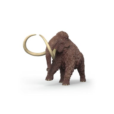 Miniature 3