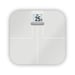 GARMIN Index S2 Scala collegata in bianco