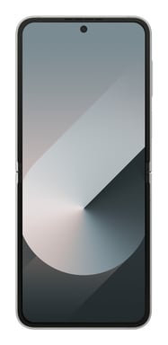 Galaxy Z Flip6 (5G), 256 GB, grigio, sbloccato