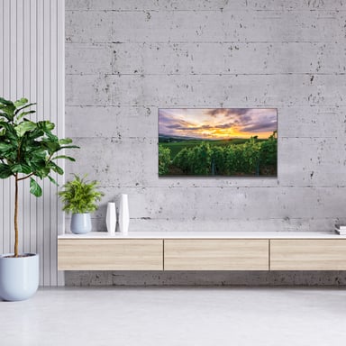 Thomson 43QA2S13 TV 109,2 cm (43'') 4K Ultra HD Smart TV Wifi Grigio