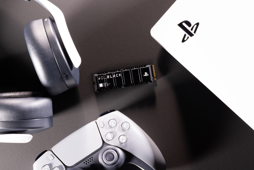 SanDisk SN850P 1 To M.2 PCI Express 4.0 NVMe