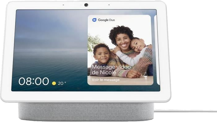 Google Nest Hub Max Gris clair